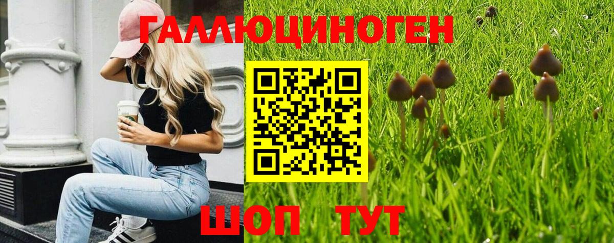 Псилоцибиновые грибы Cubensis  Вход с VPN  Домодедово 